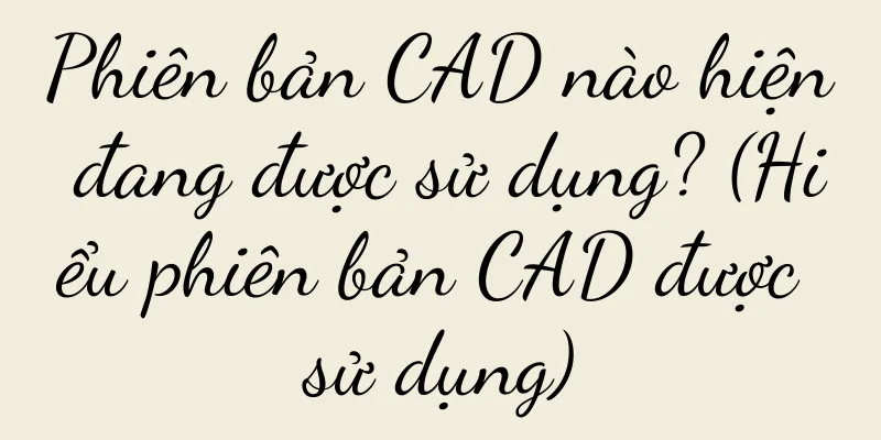 Phiên bản CAD nào hiện đang được sử dụng? (Hiểu phiên bản CAD được sử dụng)