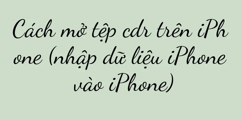Cách mở tệp cdr trên iPhone (nhập dữ liệu iPhone vào iPhone)