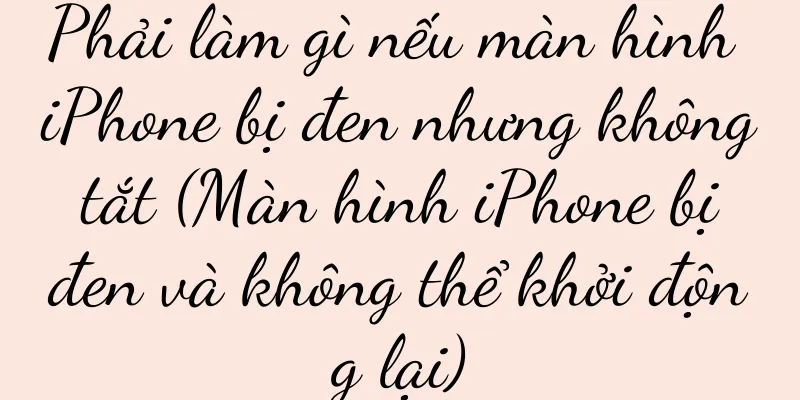 Phải làm gì nếu màn hình iPhone bị đen nhưng không tắt (Màn hình iPhone bị đen và không thể khởi động lại)