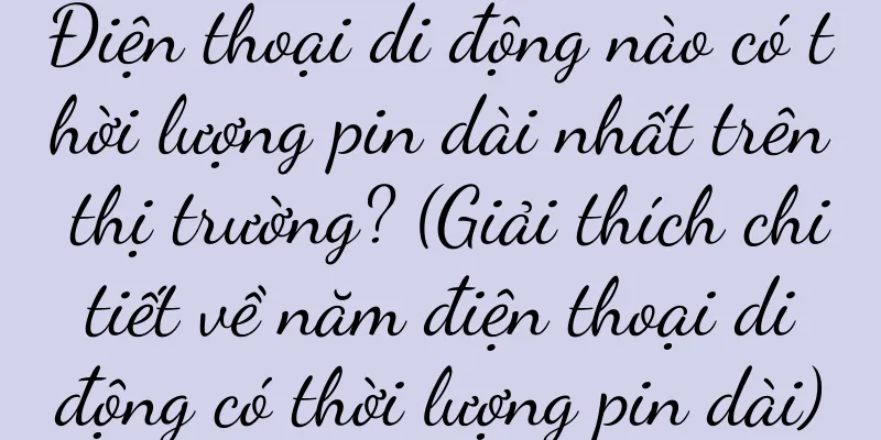 Điện thoại di động nào có thời lượng pin dài nhất trên thị trường? (Giải thích chi tiết về năm điện thoại di động có thời lượng pin dài)