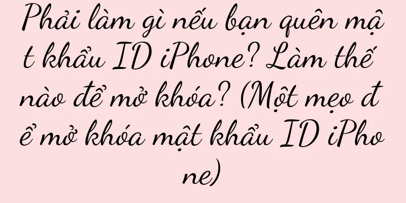 Phải làm gì nếu bạn quên mật khẩu ID iPhone? Làm thế nào để mở khóa? (Một mẹo để mở khóa mật khẩu ID iPhone)