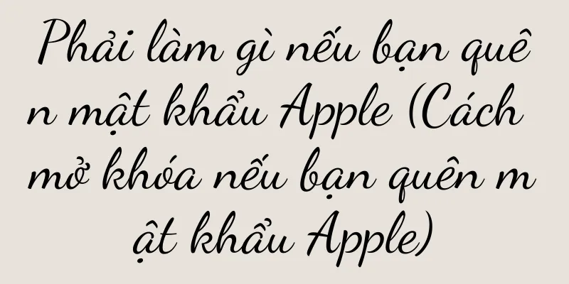 Phải làm gì nếu bạn quên mật khẩu Apple (Cách mở khóa nếu bạn quên mật khẩu Apple)