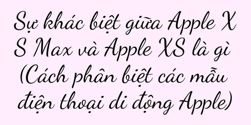 Sự khác biệt giữa Apple XS Max và Apple XS là gì (Cách phân biệt các mẫu điện thoại di động Apple)