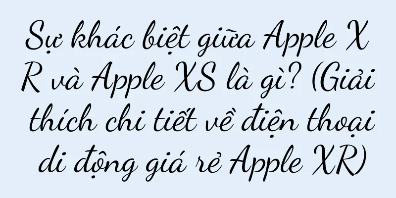 Sự khác biệt giữa Apple XR và Apple XS là gì? (Giải thích chi tiết về điện thoại di động giá rẻ Apple XR)