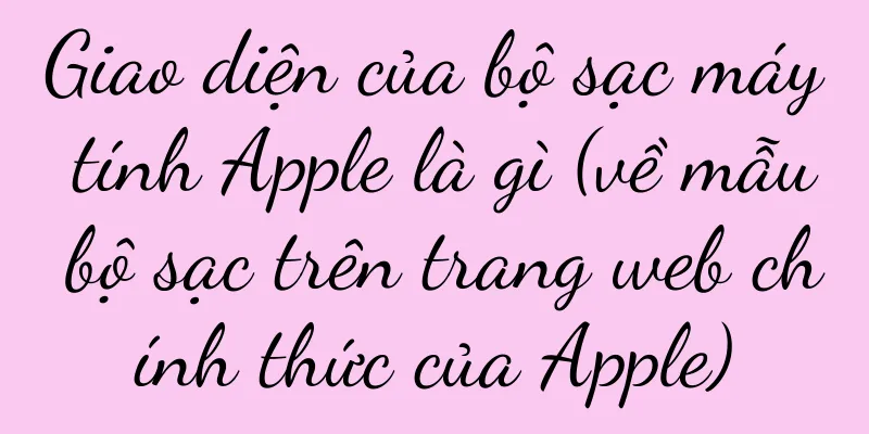 Giao diện của bộ sạc máy tính Apple là gì (về mẫu bộ sạc trên trang web chính thức của Apple)