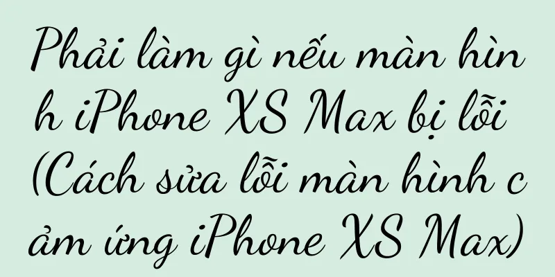 Phải làm gì nếu màn hình iPhone XS Max bị lỗi (Cách sửa lỗi màn hình cảm ứng iPhone XS Max)