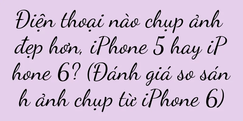 Điện thoại nào chụp ảnh đẹp hơn, iPhone 5 hay iPhone 6? (Đánh giá so sánh ảnh chụp từ iPhone 6)