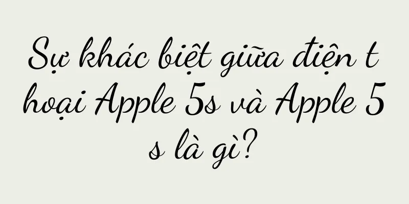 Sự khác biệt giữa điện thoại Apple 5s và Apple 5s là gì?