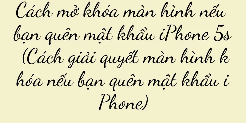 Cách mở khóa màn hình nếu bạn quên mật khẩu iPhone 5s (Cách giải quyết màn hình khóa nếu bạn quên mật khẩu iPhone)