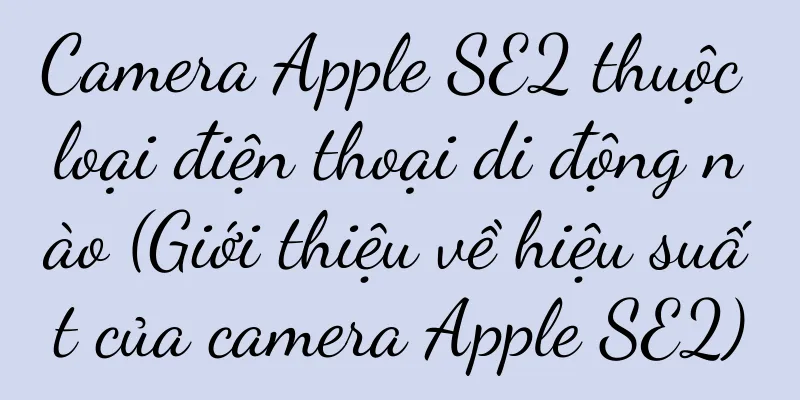 Camera Apple SE2 thuộc loại điện thoại di động nào (Giới thiệu về hiệu suất của camera Apple SE2)