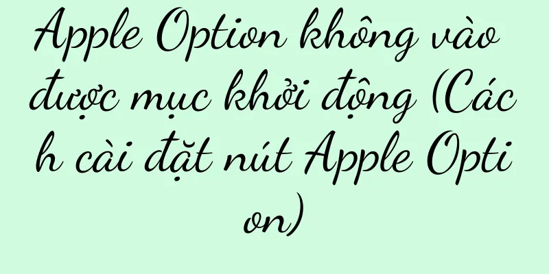 Apple Option không vào được mục khởi động (Cách cài đặt nút Apple Option)