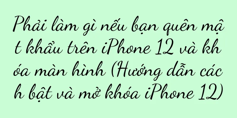 Phải làm gì nếu bạn quên mật khẩu trên iPhone 12 và khóa màn hình (Hướng dẫn cách bật và mở khóa iPhone 12)