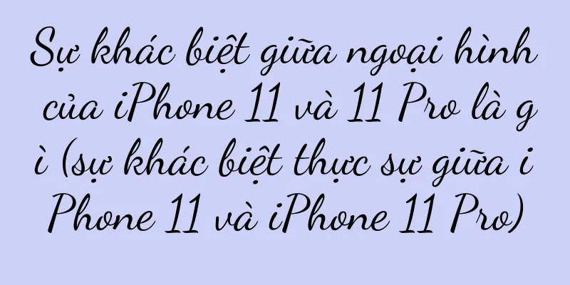 Sự khác biệt giữa ngoại hình của iPhone 11 và 11 Pro là gì (sự khác biệt thực sự giữa iPhone 11 và iPhone 11 Pro)