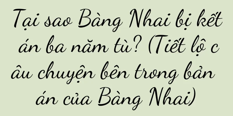 Tại sao Bàng Nhai bị kết án ba năm tù? (Tiết lộ câu chuyện bên trong bản án của Bàng Nhai)