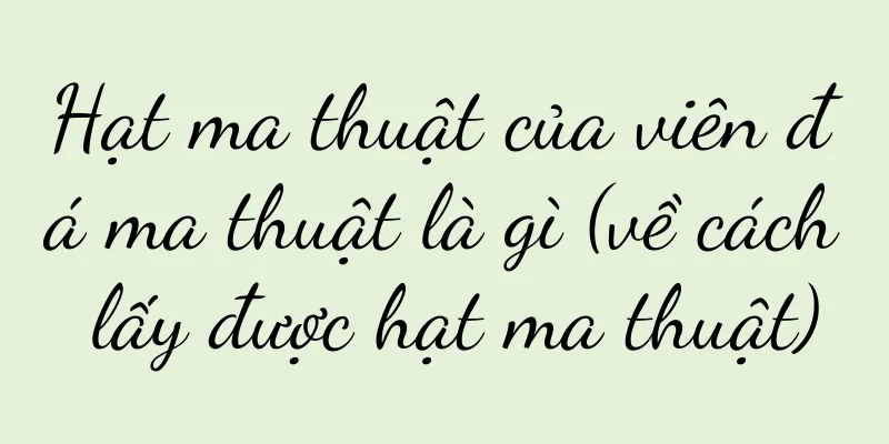 Hạt ma thuật của viên đá ma thuật là gì (về cách lấy được hạt ma thuật)