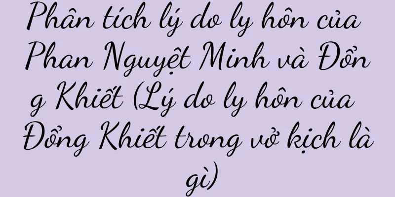 Phân tích lý do ly hôn của Phan Nguyệt Minh và Đổng Khiết (Lý do ly hôn của Đổng Khiết trong vở kịch là gì)