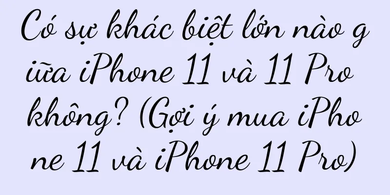 Có sự khác biệt lớn nào giữa iPhone 11 và 11 Pro không? (Gợi ý mua iPhone 11 và iPhone 11 Pro)