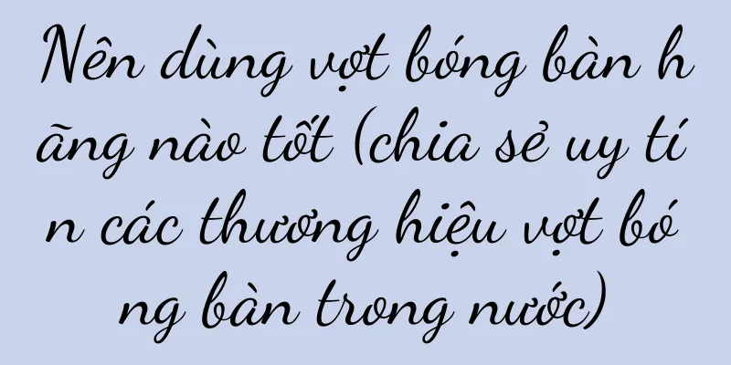 Nên dùng vợt bóng bàn hãng nào tốt (chia sẻ uy tín các thương hiệu vợt bóng bàn trong nước)