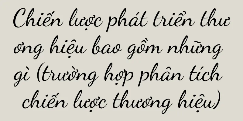 Chiến lược phát triển thương hiệu bao gồm những gì (trường hợp phân tích chiến lược thương hiệu)