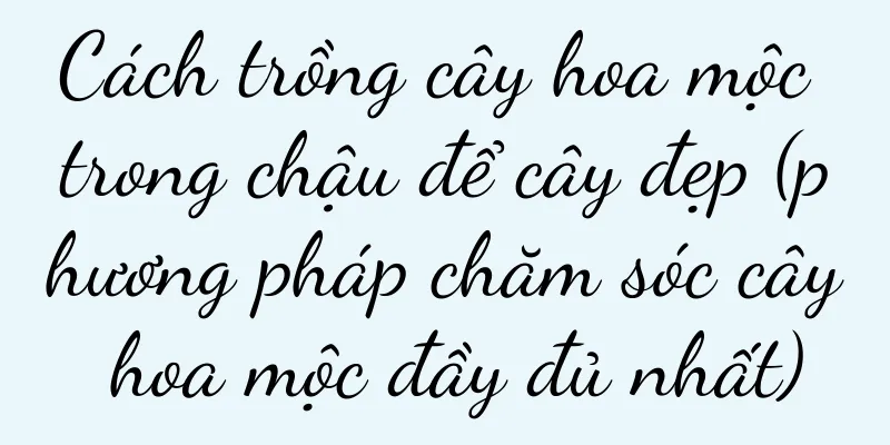 Cách trồng cây hoa mộc trong chậu để cây đẹp (phương pháp chăm sóc cây hoa mộc đầy đủ nhất)