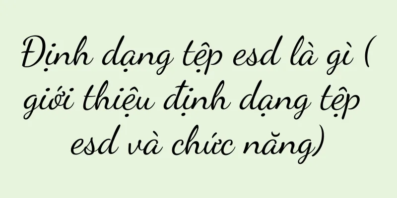Định dạng tệp esd là gì (giới thiệu định dạng tệp esd và chức năng)