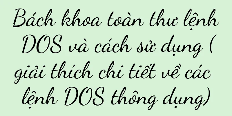 Bách khoa toàn thư lệnh DOS và cách sử dụng (giải thích chi tiết về các lệnh DOS thông dụng)