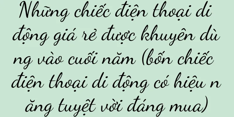 Những chiếc điện thoại di động giá rẻ được khuyên dùng vào cuối năm (bốn chiếc điện thoại di động có hiệu năng tuyệt vời đáng mua)