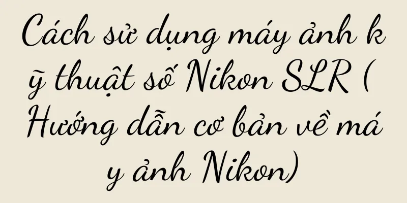 Cách sử dụng máy ảnh kỹ thuật số Nikon SLR (Hướng dẫn cơ bản về máy ảnh Nikon)