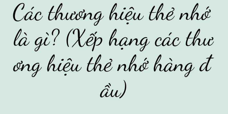 Các thương hiệu thẻ nhớ là gì? (Xếp hạng các thương hiệu thẻ nhớ hàng đầu)