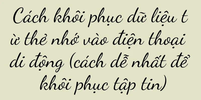 Cách khôi phục dữ liệu từ thẻ nhớ vào điện thoại di động (cách dễ nhất để khôi phục tập tin)