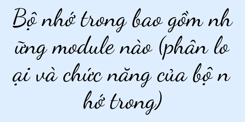 Bộ nhớ trong bao gồm những module nào (phân loại và chức năng của bộ nhớ trong)