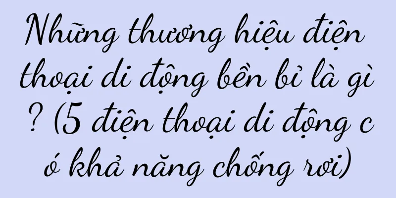 Những thương hiệu điện thoại di động bền bỉ là gì? (5 điện thoại di động có khả năng chống rơi)