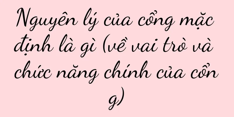 Nguyên lý của cổng mặc định là gì (về vai trò và chức năng chính của cổng)