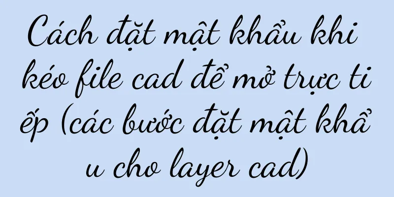 Cách đặt mật khẩu khi kéo file cad để mở trực tiếp (các bước đặt mật khẩu cho layer cad)