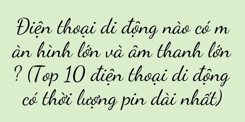 Điện thoại di động nào có màn hình lớn và âm thanh lớn? (Top 10 điện thoại di động có thời lượng pin dài nhất)