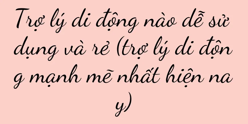 Trợ lý di động nào dễ sử dụng và rẻ (trợ lý di động mạnh mẽ nhất hiện nay)