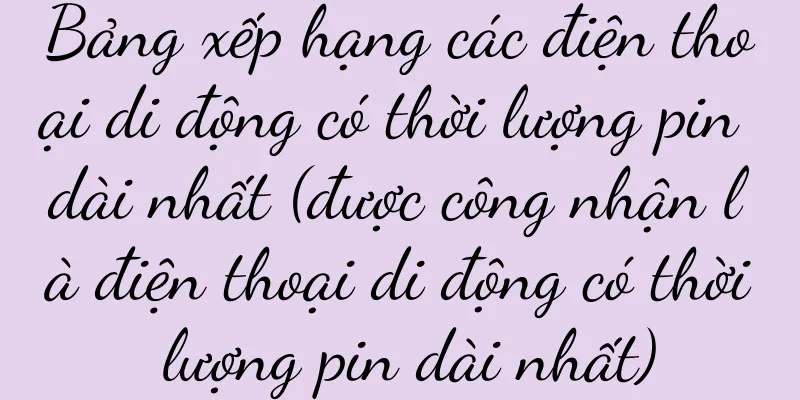 Bảng xếp hạng các điện thoại di động có thời lượng pin dài nhất (được công nhận là điện thoại di động có thời lượng pin dài nhất)