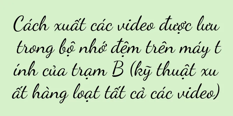 Cách xuất các video được lưu trong bộ nhớ đệm trên máy tính của trạm B (kỹ thuật xuất hàng loạt tất cả các video)