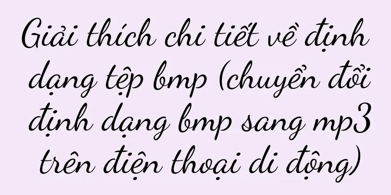 Giải thích chi tiết về định dạng tệp bmp (chuyển đổi định dạng bmp sang mp3 trên điện thoại di động)