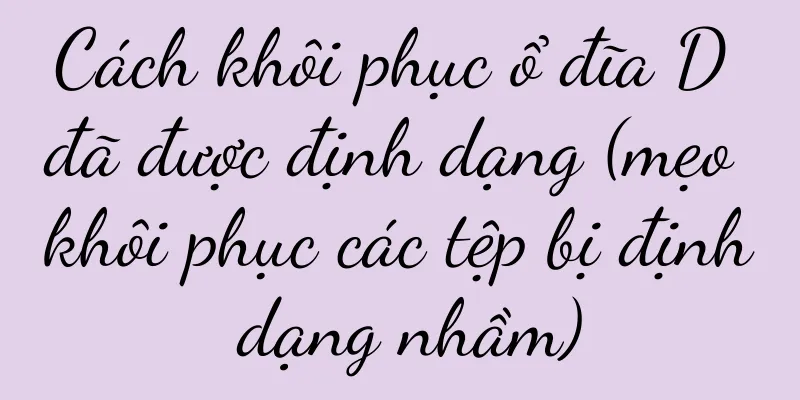 Cách khôi phục ổ đĩa D đã được định dạng (mẹo khôi phục các tệp bị định dạng nhầm)