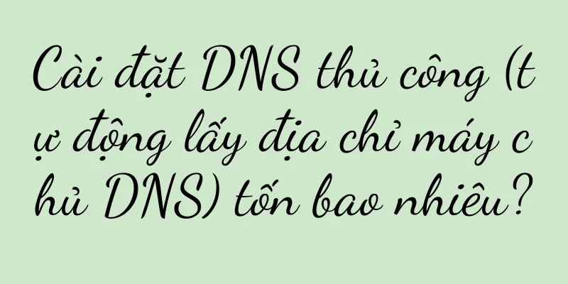 Cài đặt DNS thủ công (tự động lấy địa chỉ máy chủ DNS) tốn bao nhiêu?