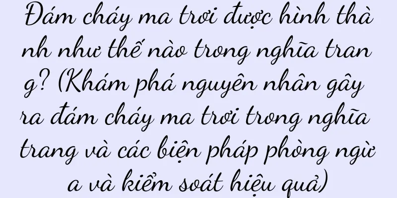 Đám cháy ma trơi được hình thành như thế nào trong nghĩa trang? (Khám phá nguyên nhân gây ra đám cháy ma trơi trong nghĩa trang và các biện pháp phòng ngừa và kiểm soát hiệu quả)