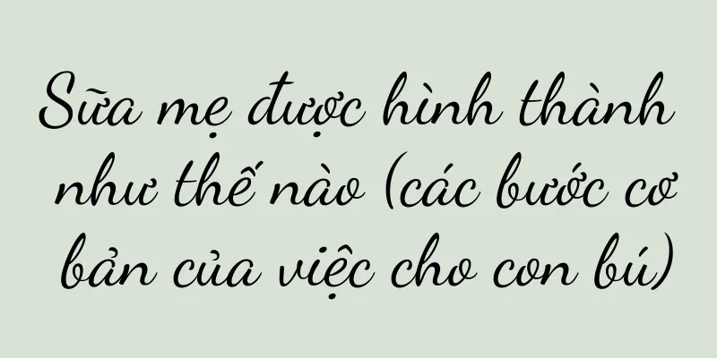 Sữa mẹ được hình thành như thế nào (các bước cơ bản của việc cho con bú)
