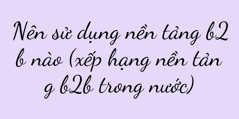 Nên sử dụng nền tảng b2b nào (xếp hạng nền tảng b2b trong nước)