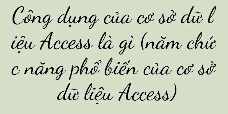 Công dụng của cơ sở dữ liệu Access là gì (năm chức năng phổ biến của cơ sở dữ liệu Access)