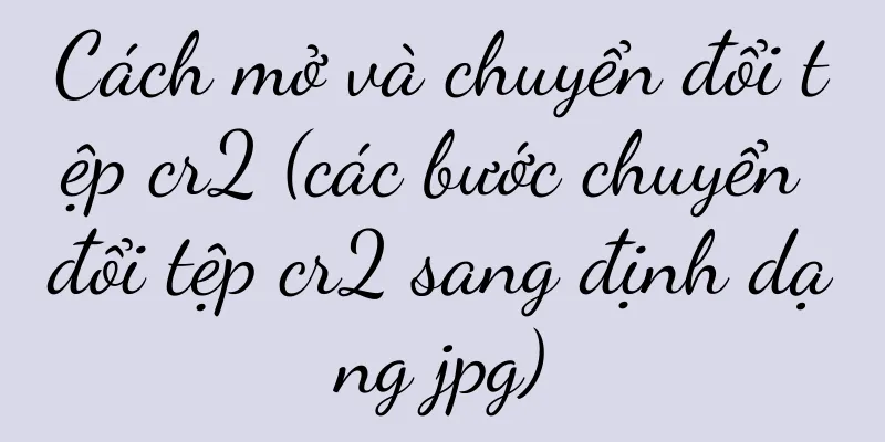 Cách mở và chuyển đổi tệp cr2 (các bước chuyển đổi tệp cr2 sang định dạng jpg)