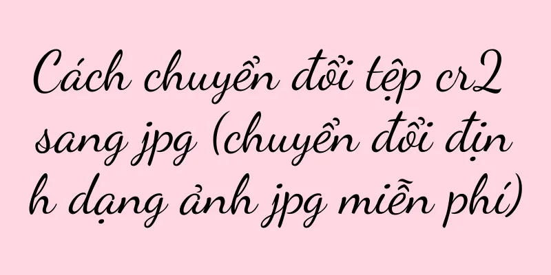 Cách chuyển đổi tệp cr2 sang jpg (chuyển đổi định dạng ảnh jpg miễn phí)