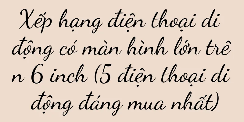 Xếp hạng điện thoại di động có màn hình lớn trên 6 inch (5 điện thoại di động đáng mua nhất)