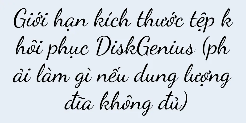 Giới hạn kích thước tệp khôi phục DiskGenius (phải làm gì nếu dung lượng đĩa không đủ)