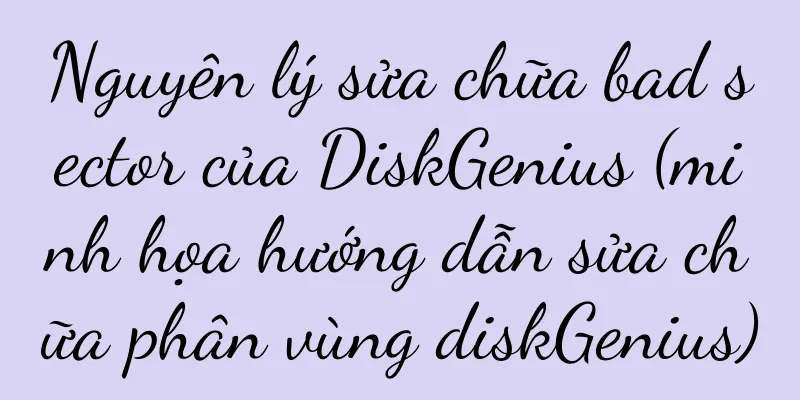 Nguyên lý sửa chữa bad sector của DiskGenius (minh họa hướng dẫn sửa chữa phân vùng diskGenius)